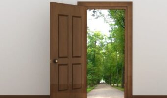 פלדלת רב בריח