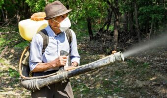 הדברת ג'וקים