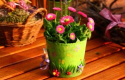 משלוח פרחים במודיעין