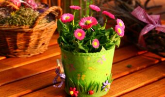 משלוח פרחים במודיעין